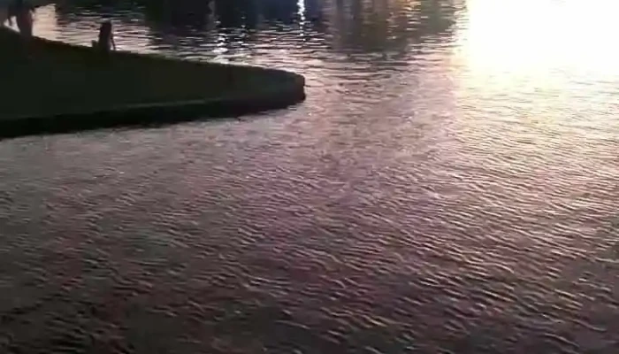 Canals -  Videos - Canals