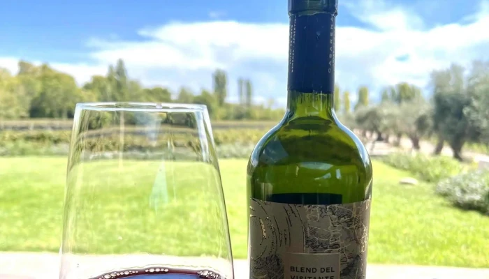 Casarena Bodega Y Vinedos Bdk - Bdk