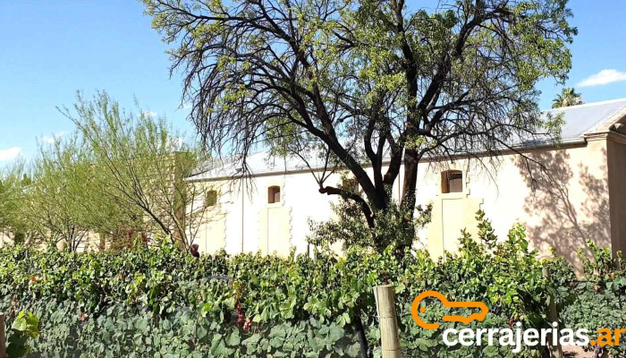 Casarena Bodega Y Vinedos Videos - Bdk