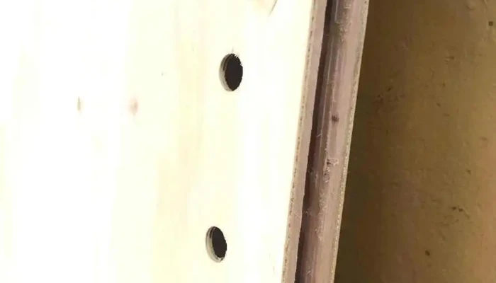 Cedarpine -  Mas Recientes - Santo Tomé