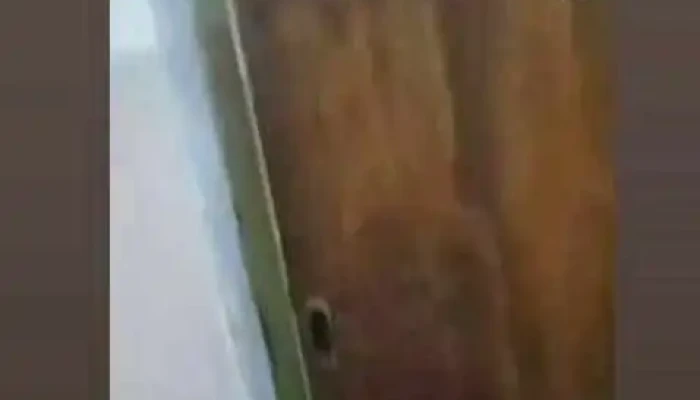 Cerrajeria Javier Robledo -  Videos - Luján