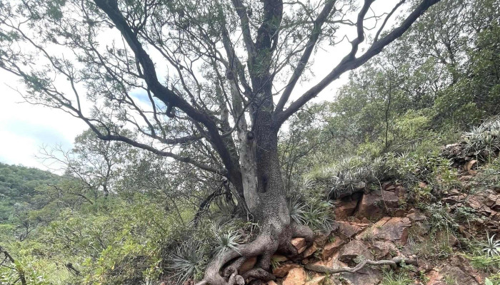 Cerro Uritorco -  Descuentos - Capilla del Monte