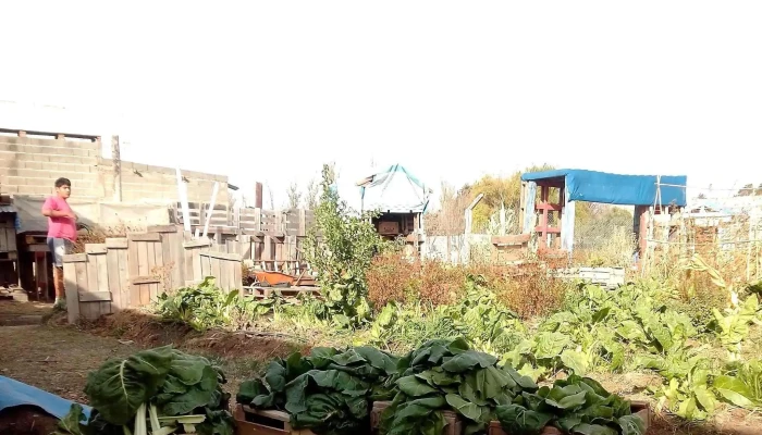 Ciudad De Los Ninos Fundacion San Martin De Porres Promocion - Río Cuarto