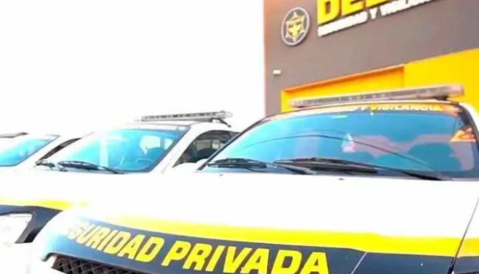 Delta Seguridad y Vigilancia Srl - Las Toscas