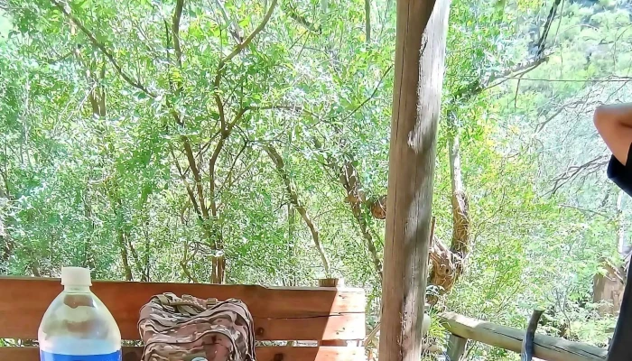 Don Alejo Casa De Te Abierto Ahora - San Fernando del Valle de Catamarca