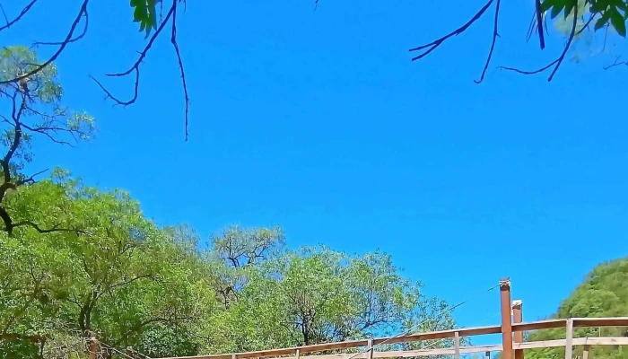 Don Alejo Casa De Te Horario - San Fernando del Valle de Catamarca