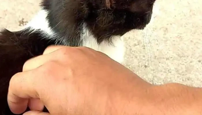 El Algarrobo -  Videos - San Jose de la Dormida