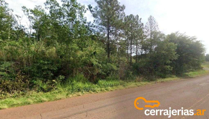 El Cardenal - Misiones