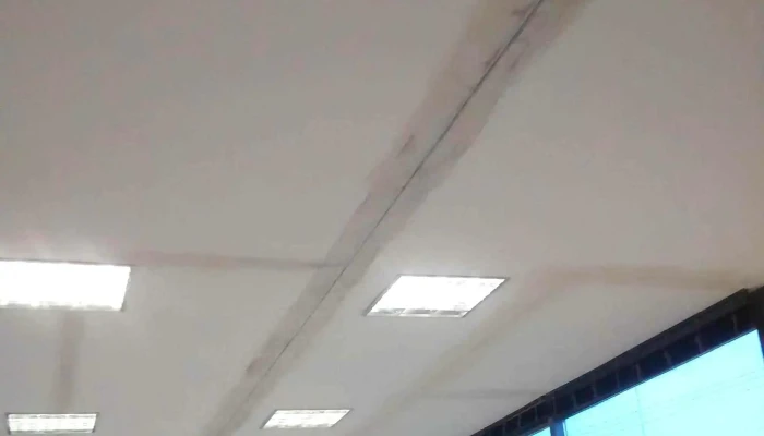 El Galpon Maderas Distribuidor Knauf Steel Frame Puntaje - Resistencia