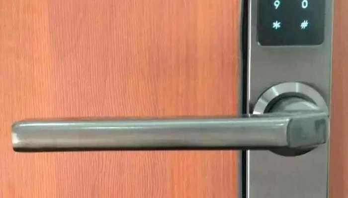 Full Lock System cerraduras electrónicas- Full Assistance - B1602Eff Florida