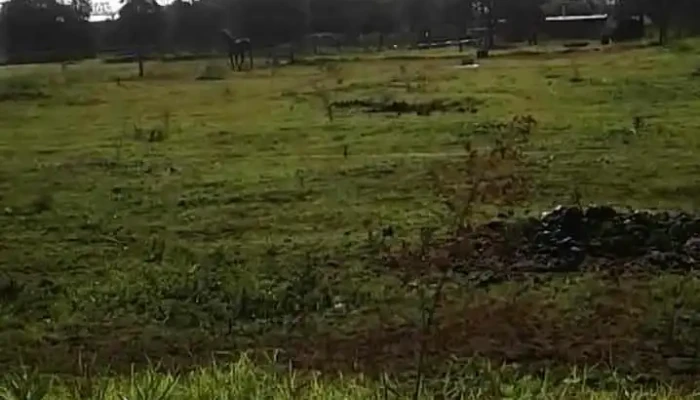 Gral Levalle Videos - Gral. Levalle