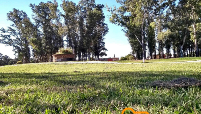 Gral Roca Horario - Gral. Roca