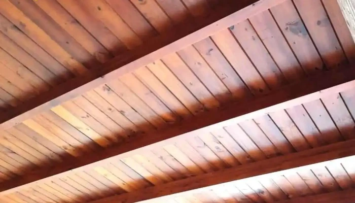 Horizonte Maderera De Juan Jose Costagrande -  Videos - El Trebol