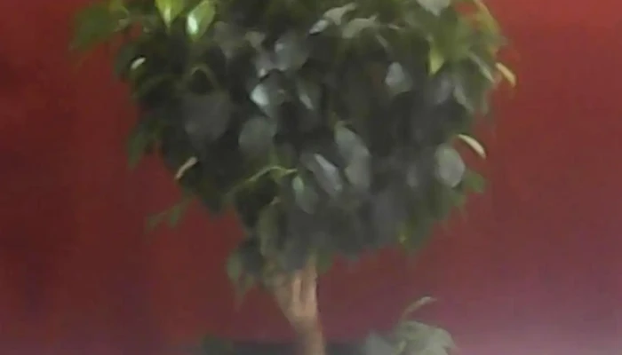 ip.Sistemas - Rivadavia 656