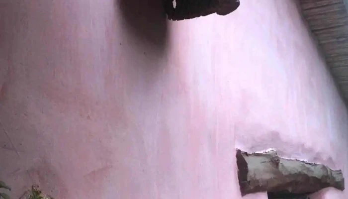 La Calabaza -  Videos - Tilcara