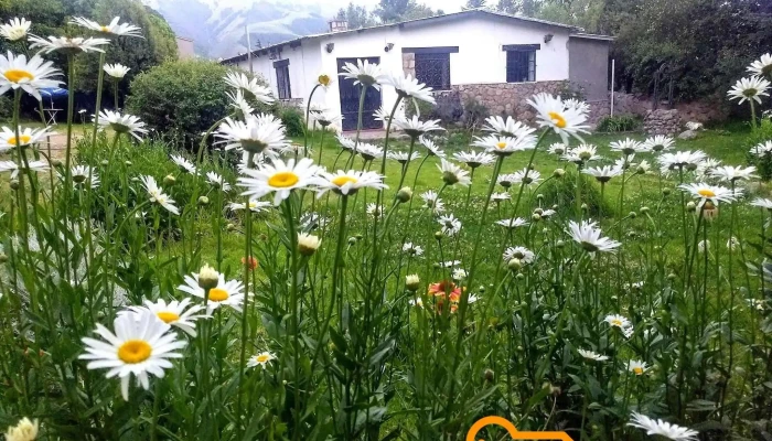 La Casa De Susana -  Cabana - Tafí del Valle