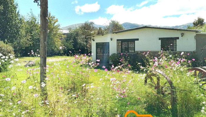 La Casa De Susana -  De Los Visitantes - Tafí del Valle