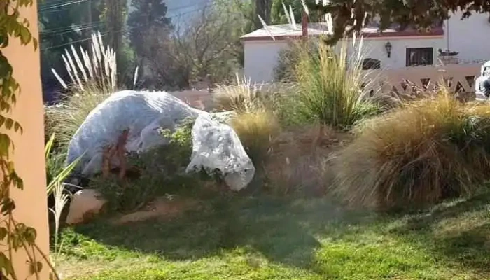 Los Arcabuceros Casa Hotel Boutique -  Videos - Tilcara