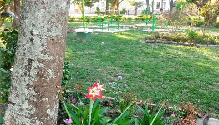 Municipalidad De Caa Cati Instagram - Caá Catí