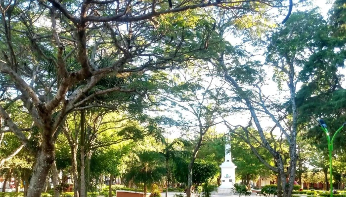 Municipalidad De Caa Cati Opiniones - Caá Catí