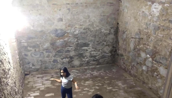 Museo Arqueologico Opiniones - La Puerta