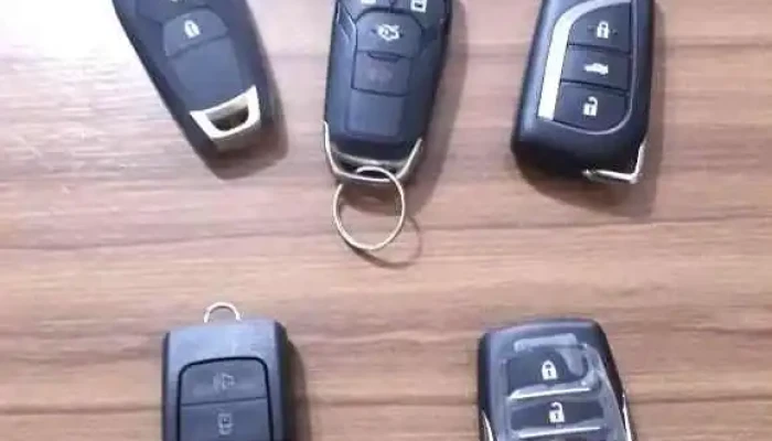 Pinguino Cerrajeria Automotriz Y Empresarial - Santo Tomé