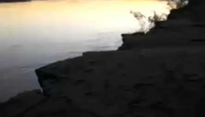 Pozo Del Tigre -  Videos - Pozo del Tigre