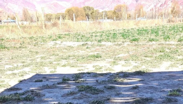 Puerta Uspallata -  Uspallata - Uspallata