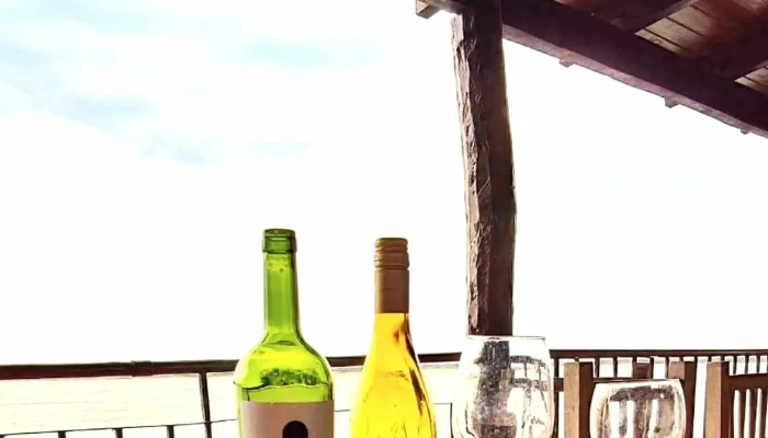 Puerto Yacarey -  Opiniones - Itatí