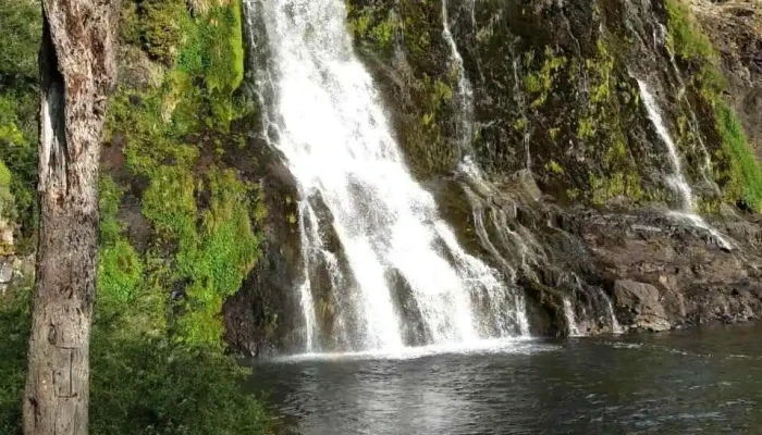 Rio Pico Montana - Río Pico