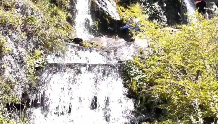 Rio Pico Videos - Río Pico