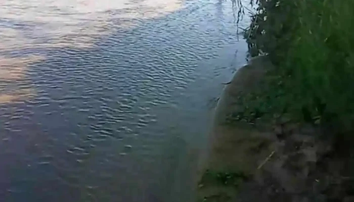 Rio Segundo Videos - Río Segundo