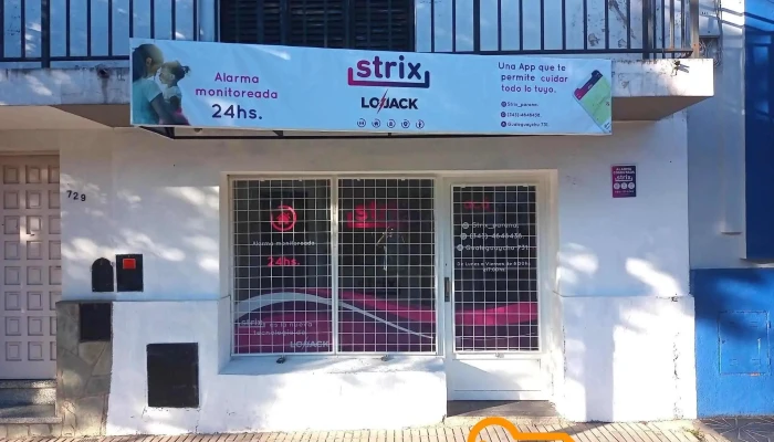 Strix Paraná - Paraná