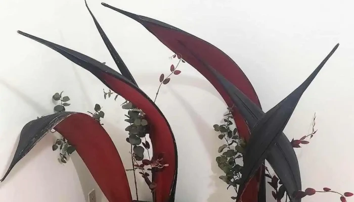 Unidades De Vigilancia Srl - Villa María
