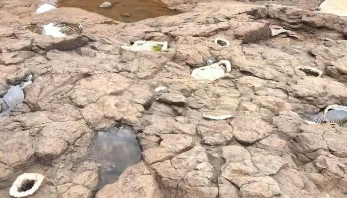 Wanda -  Mas Recientes - Puerto Iguazú